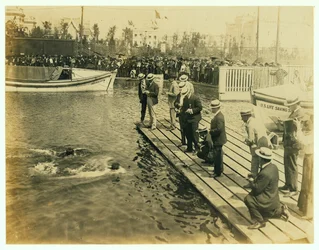 1904 Olympische Spiele - Ziel des 220-Yard-Schwimmwettbewerbs